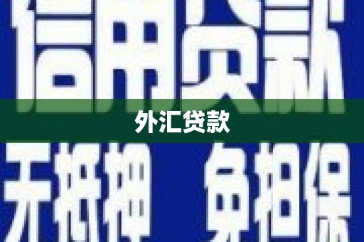 岑巩外汇贷款