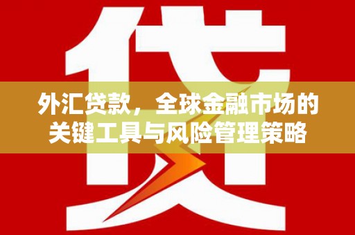 岑巩外汇贷款，全球金融市场的关键工具与风险管理策略