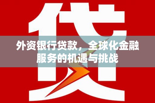 岑巩外资银行贷款，全球化金融服务的机遇与挑战