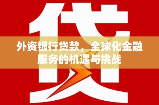 岑巩外资银行贷款，全球化金融服务的机遇与挑战
