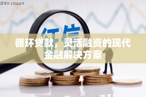 岑巩循环贷款，灵活融资的现代金融解决方案