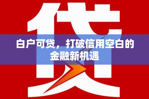 岑巩白户可贷，打破信用空白的金融新机遇