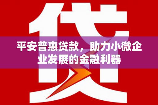 岑巩平安普惠贷款，助力小微企业发展的金融利器