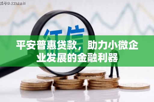 岑巩平安普惠贷款，助力小微企业发展的金融利器