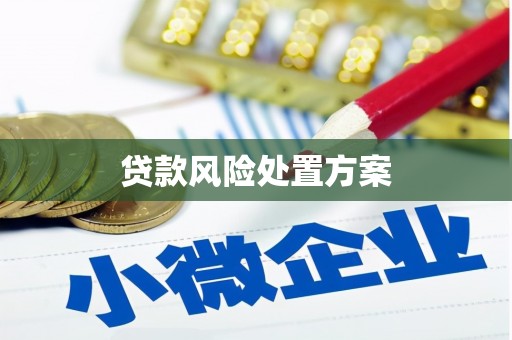 岑巩贷款风险处置方案