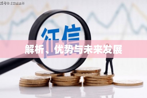 岑巩解析、优势与未来发展