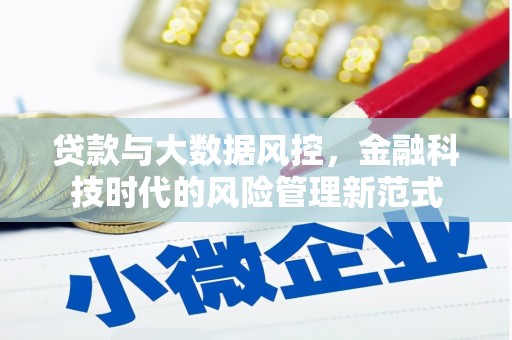 岑巩贷款与大数据风控，金融科技时代的风险管理新范式