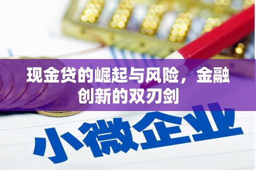 岑巩现金贷的崛起与风险，金融创新的双刃剑
