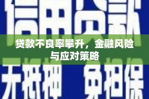 岑巩贷款不良率攀升，金融风险与应对策略