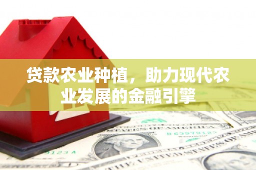 岑巩贷款农业种植，助力现代农业发展的金融引擎