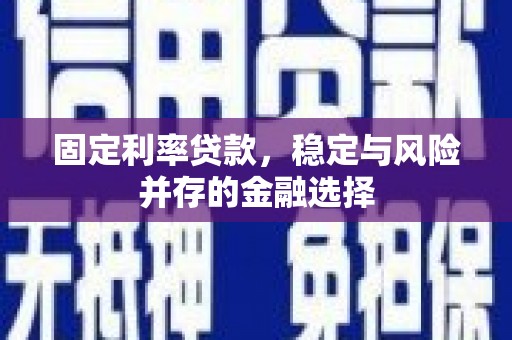 岑巩固定利率贷款，稳定与风险并存的金融选择