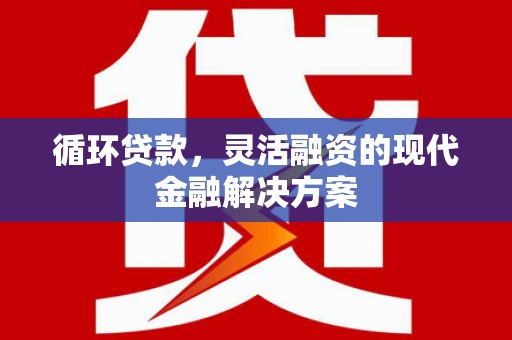 岑巩循环贷款，灵活融资的现代金融解决方案