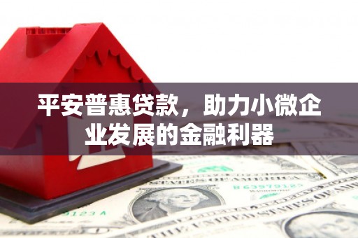 岑巩平安普惠贷款，助力小微企业发展的金融利器