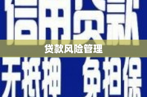 岑巩贷款风险管理