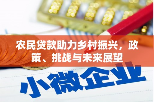 岑巩农民贷款助力乡村振兴，政策、挑战与未来展望