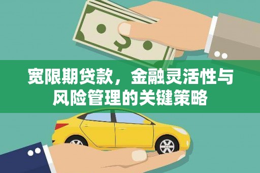 岑巩宽限期贷款，金融灵活性与风险管理的关键策略