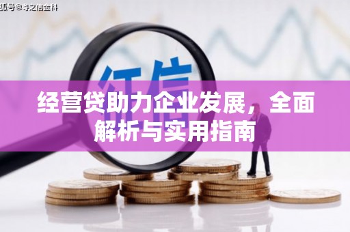 岑巩经营贷助力企业发展，全面解析与实用指南