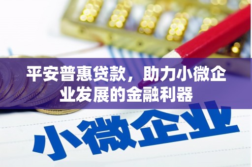 岑巩平安普惠贷款，助力小微企业发展的金融利器