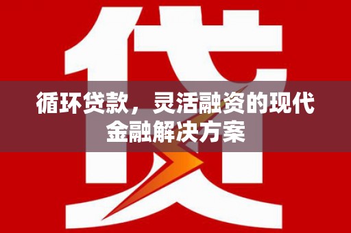 岑巩循环贷款，灵活融资的现代金融解决方案