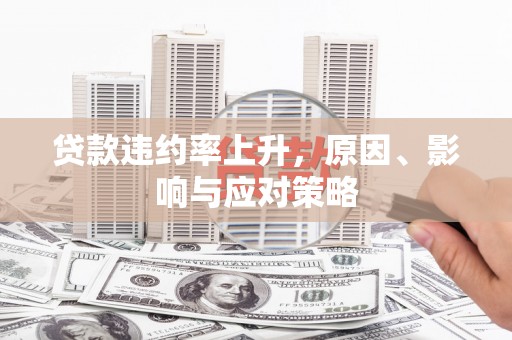 岑巩贷款违约率上升，原因、影响与应对策略