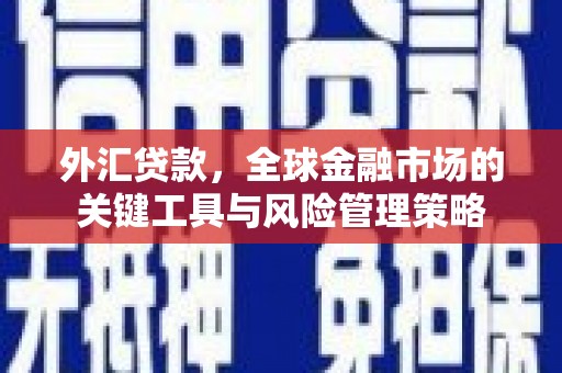 岑巩外汇贷款，全球金融市场的关键工具与风险管理策略