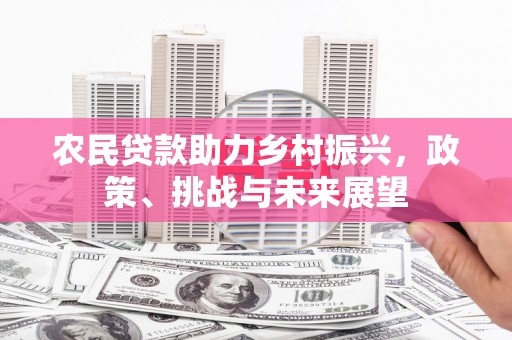 岑巩农民贷款助力乡村振兴，政策、挑战与未来展望
