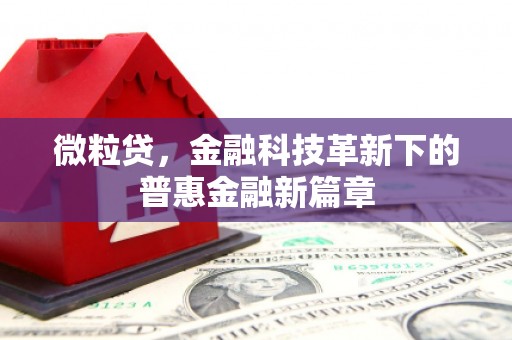 岑巩微粒贷，金融科技革新下的普惠金融新篇章