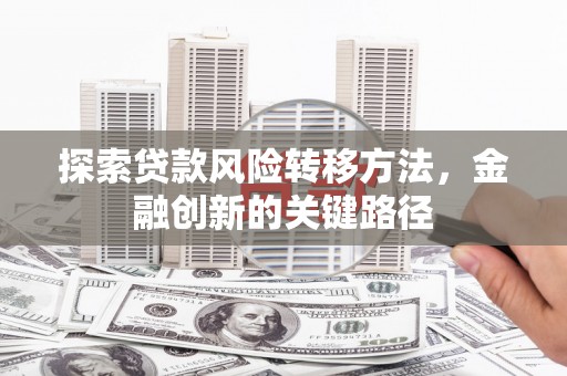 岑巩探索贷款风险转移方法，金融创新的关键路径
