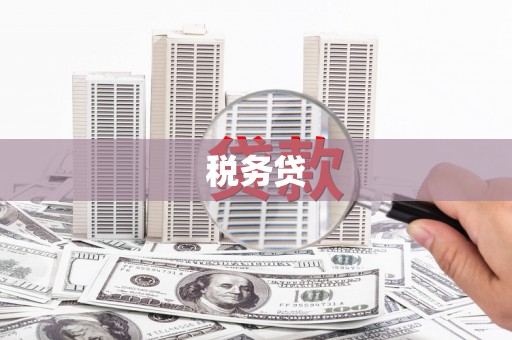 岑巩税务贷