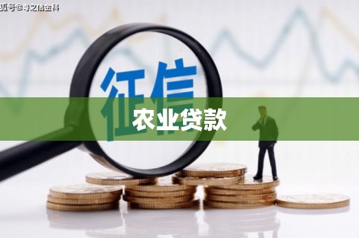 岑巩农业贷款