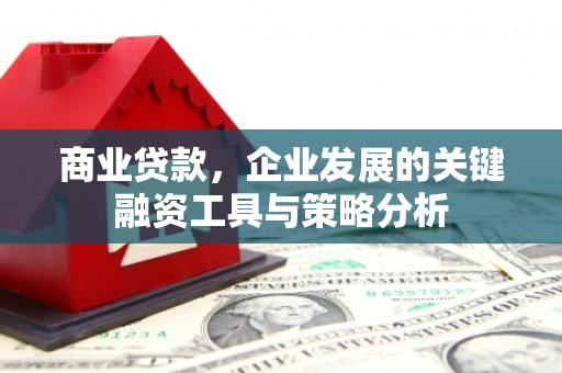 岑巩商业贷款，企业发展的关键融资工具与策略分析