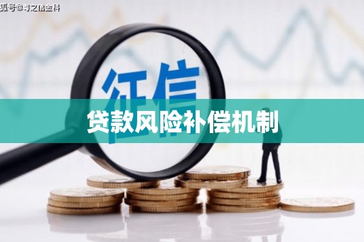 岑巩贷款风险补偿机制