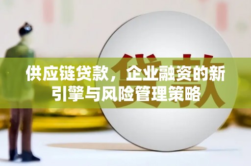 岑巩供应链贷款，企业融资的新引擎与风险管理策略