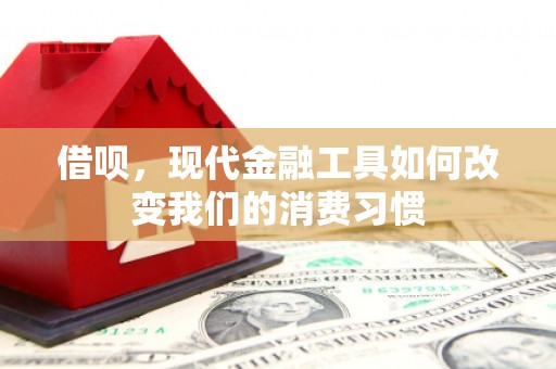 岑巩借呗，现代金融工具如何改变我们的消费习惯