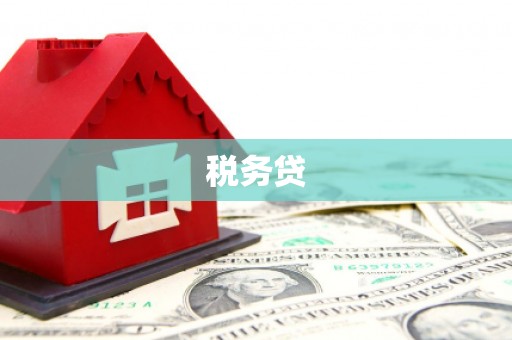岑巩税务贷