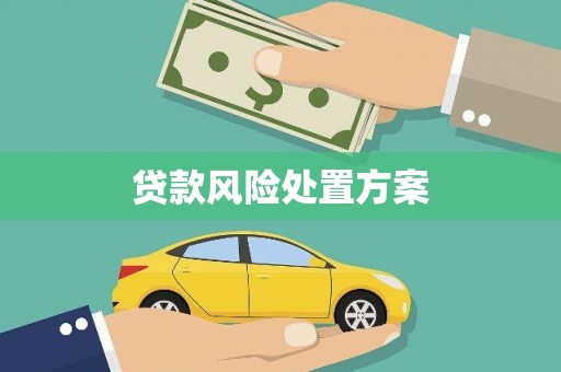 岑巩贷款风险处置方案