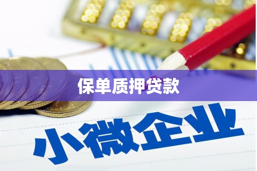 岑巩保单质押贷款