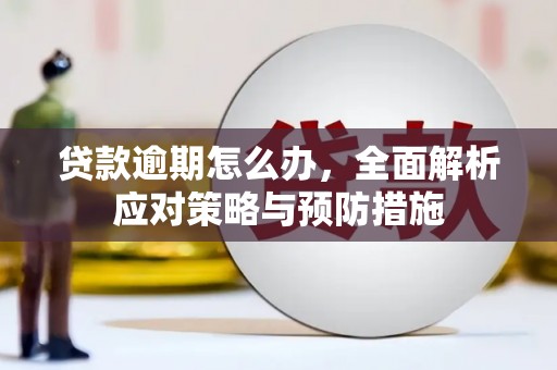 岑巩贷款逾期怎么办，全面解析应对策略与预防措施
