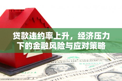 岑巩贷款违约率上升，经济压力下的金融风险与应对策略