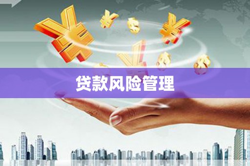 岑巩贷款风险管理