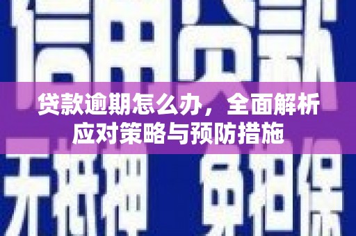 岑巩贷款逾期怎么办，全面解析应对策略与预防措施
