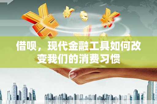 岑巩借呗，现代金融工具如何改变我们的消费习惯