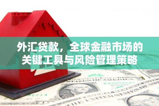 岑巩外汇贷款，全球金融市场的关键工具与风险管理策略