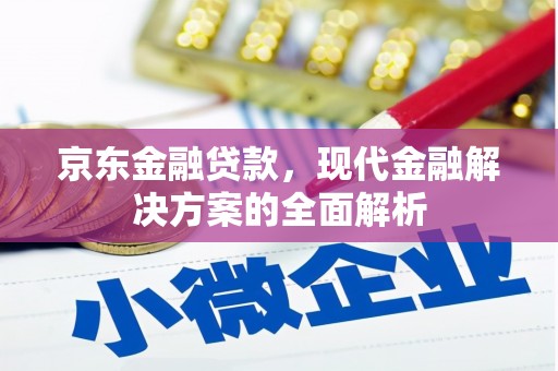 岑巩京东金融贷款，现代金融解决方案的全面解析
