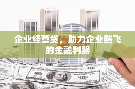 岑巩企业经营贷，助力企业腾飞的金融利器