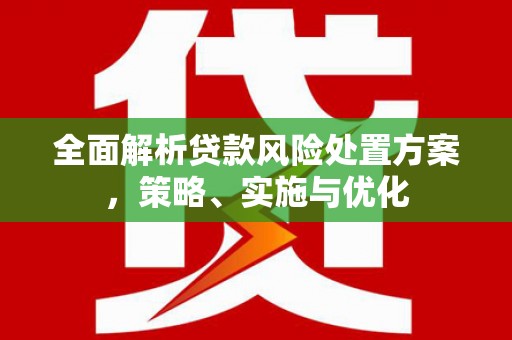岑巩全面解析贷款风险处置方案，策略、实施与优化