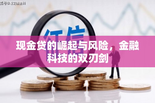 岑巩现金贷的崛起与风险，金融科技的双刃剑