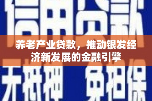 岑巩养老产业贷款，推动银发经济新发展的金融引擎