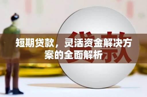 岑巩短期贷款，灵活资金解决方案的全面解析