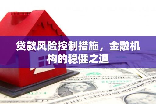 岑巩贷款风险控制措施，金融机构的稳健之道